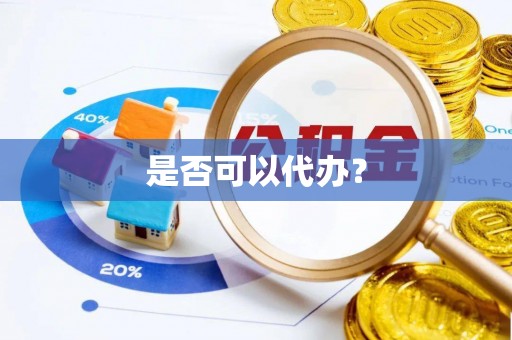 兰坪是否可以代办？