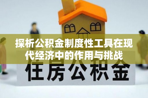 兰坪探析公积金制度性工具在现代经济中的作用与挑战