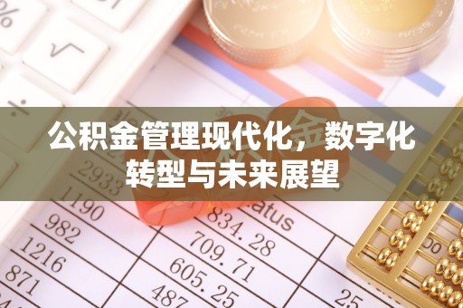 兰坪公积金管理现代化，数字化转型与未来展望