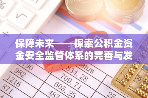 兰坪保障未来——探索公积金资金安全监管体系的完善与发展