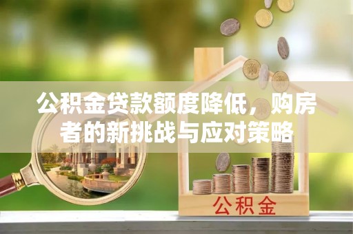 兰坪公积金贷款额度降低，购房者的新挑战与应对策略