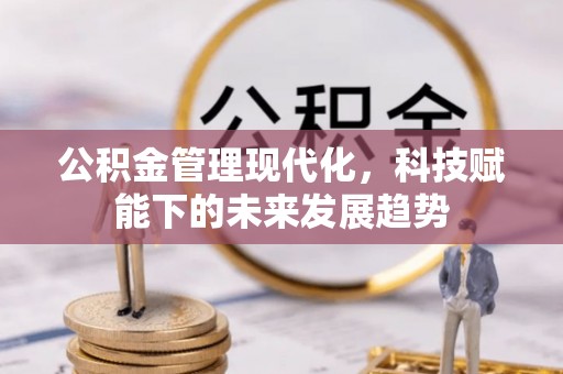 兰坪公积金管理现代化，科技赋能下的未来发展趋势