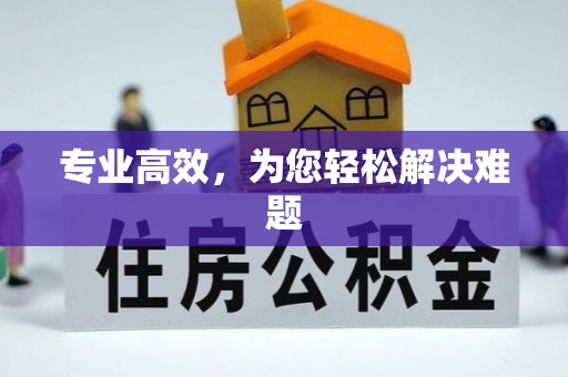 兰坪专业高效，为您轻松解决难题