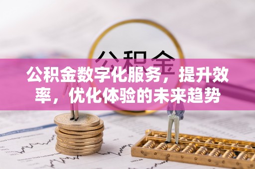 兰坪公积金数字化服务，提升效率，优化体验的未来趋势