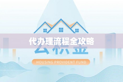 兰坪代办理流程全攻略