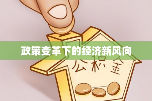 兰坪政策变革下的经济新风向
