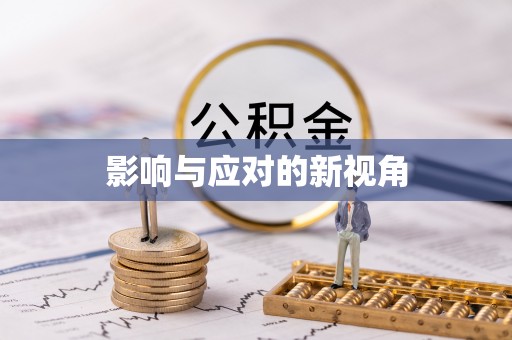 兰坪影响与应对的新视角