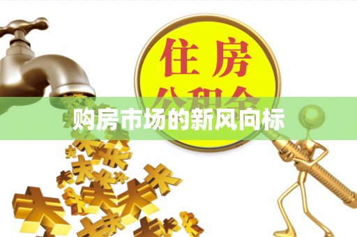 兰坪购房市场的新风向标