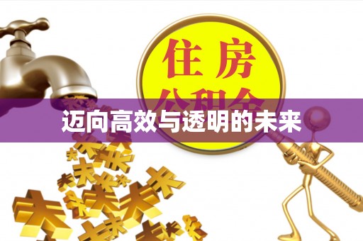 兰坪迈向高效与透明的未来