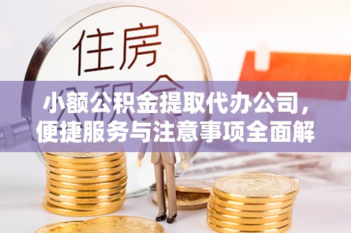兰坪小额公积金提取代办公司，便捷服务与注意事项全面解析