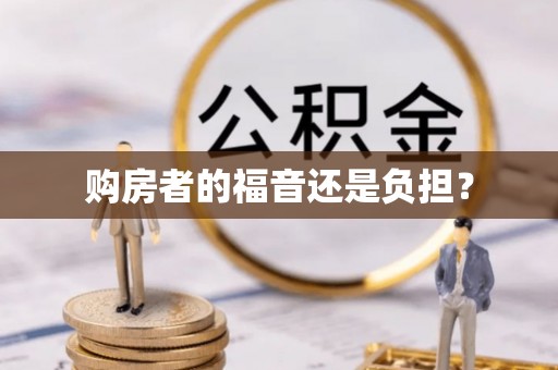 兰坪购房者的福音还是负担？