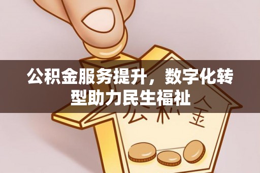 兰坪公积金服务提升，数字化转型助力民生福祉