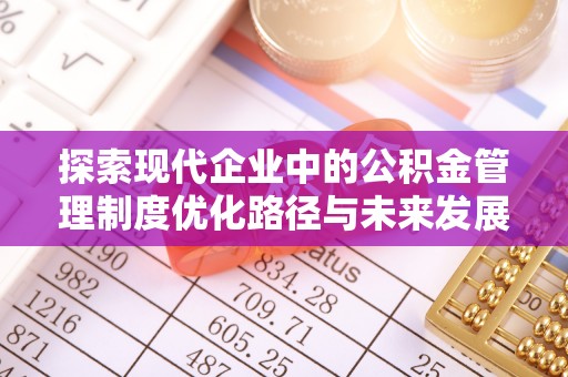 兰坪探索现代企业中的公积金管理制度优化路径与未来发展