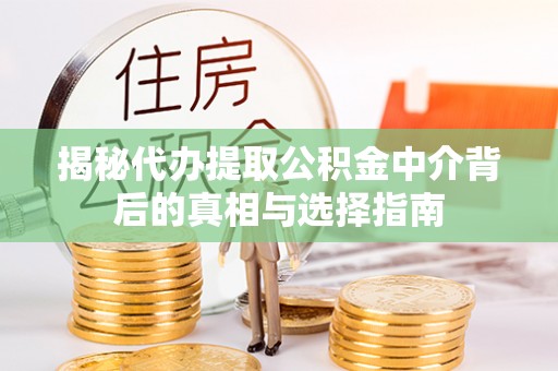 兰坪揭秘代办提取公积金中介背后的真相与选择指南