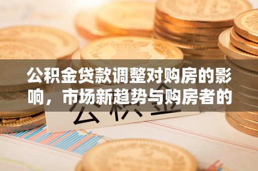 兰坪公积金贷款调整对购房的影响，市场新趋势与购房者的选择