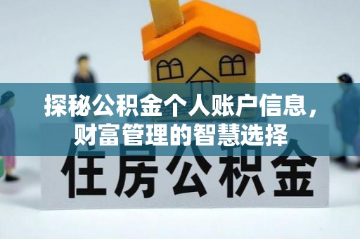 兰坪探秘公积金个人账户信息，财富管理的智慧选择