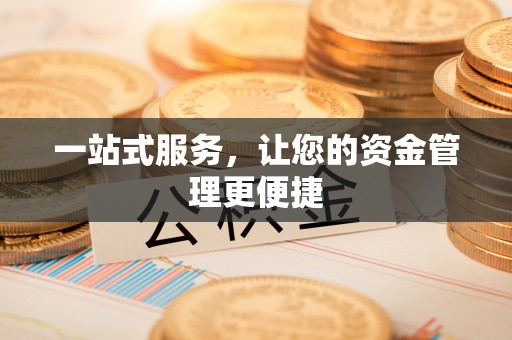 兰坪一站式服务，让您的资金管理更便捷