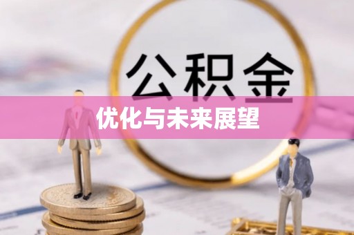 兰坪优化与未来展望