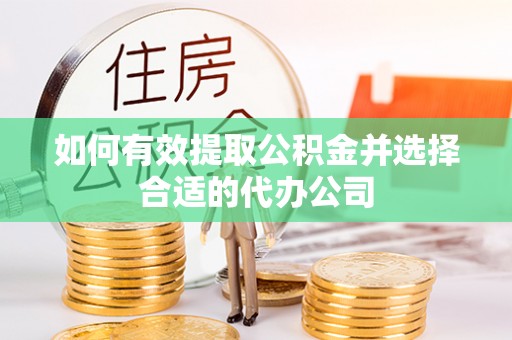 兰坪如何有效提取公积金并选择合适的代办公司