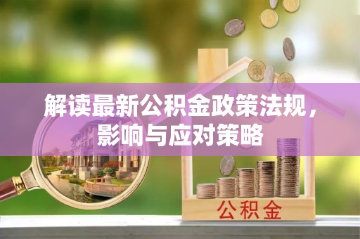 兰坪解读最新公积金政策法规，影响与应对策略