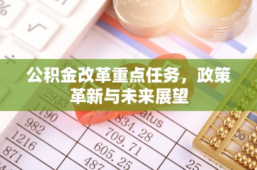 兰坪公积金改革重点任务，政策革新与未来展望