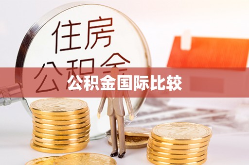 兰坪公积金国际比较