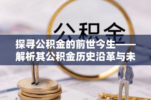 兰坪探寻公积金的前世今生——解析其公积金历史沿革与未来方向