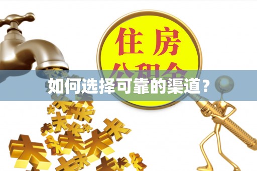 兰坪如何选择可靠的渠道？