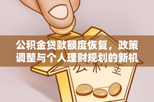 兰坪公积金贷款额度恢复，政策调整与个人理财规划的新机遇