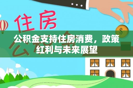 兰坪公积金支持住房消费，政策红利与未来展望
