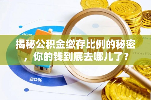 兰坪揭秘公积金缴存比例的秘密，你的钱到底去哪儿了？