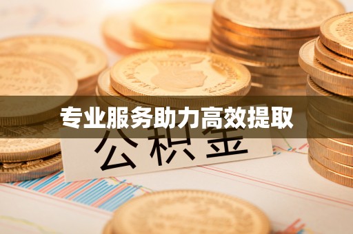 兰坪专业服务助力高效提取