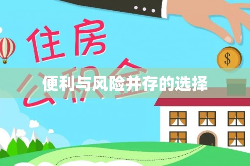 兰坪便利与风险并存的选择