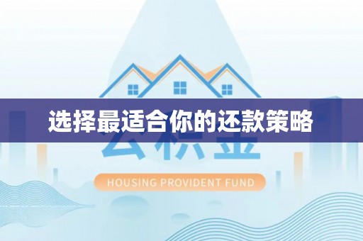 兰坪选择最适合你的还款策略