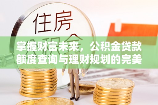 兰坪掌握财富未来，公积金贷款额度查询与理财规划的完美结合