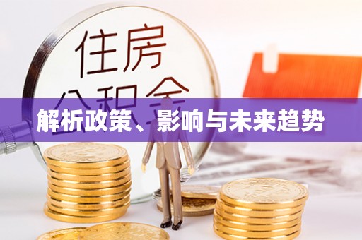 兰坪解析政策、影响与未来趋势