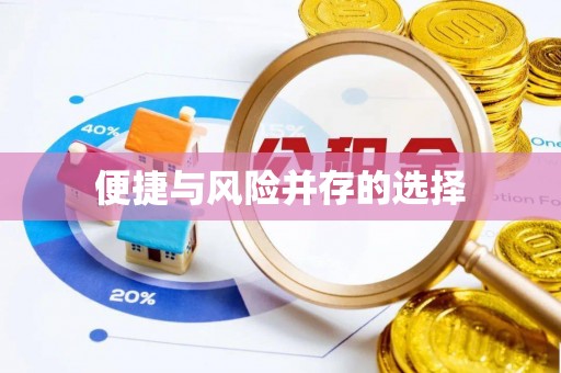 兰坪便捷与风险并存的选择