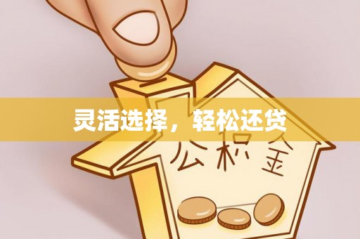 兰坪灵活选择，轻松还贷