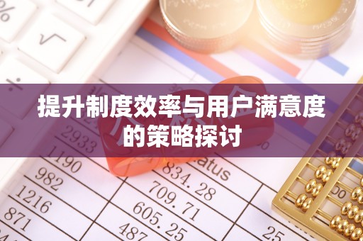 兰坪提升制度效率与用户满意度的策略探讨