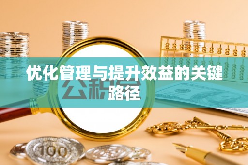 兰坪优化管理与提升效益的关键路径